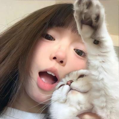 快乐的小鸡
